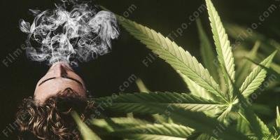 filmes sobre fumando um baseado
