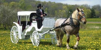 filmes sobre cavalo e carruagem