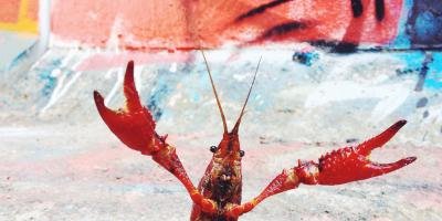 filmes sobre comportamento passivo agressivo