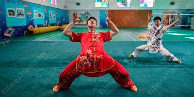 filmes sobre estilo bêbado kung fu