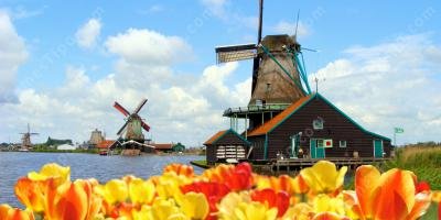 filmes sobre Holanda