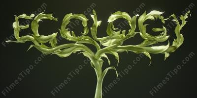 filmes sobre ecologia