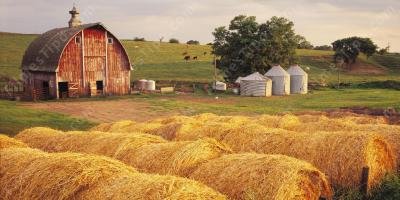 filmes sobre fazenda