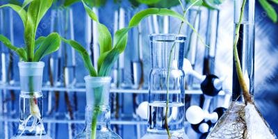 filmes sobre biologia