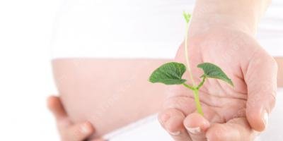 filmes sobre fertilidade