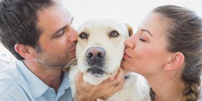 filmes sobre amante dos animais