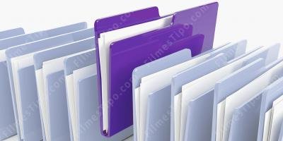 filmes sobre documento