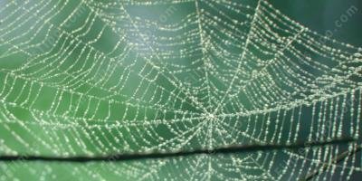 filmes sobre teia de aranha