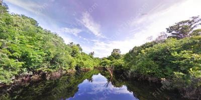 filmes sobre Amazonas