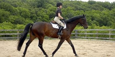 filmes sobre passeios a cavalo