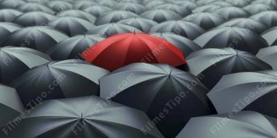 filmes sobre guarda-chuva