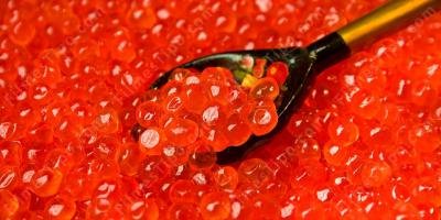 filmes sobre caviar