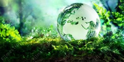 filmes sobre Meio Ambiente