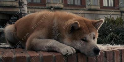 filmes sobre tristeza