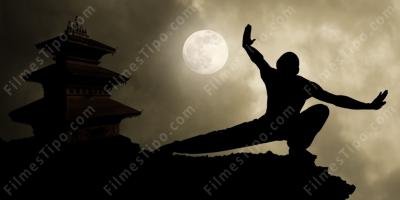 filmes sobre Artes marciais