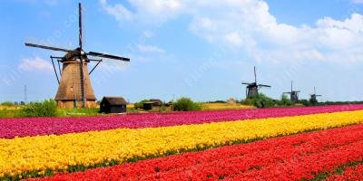 filmes sobre Holanda