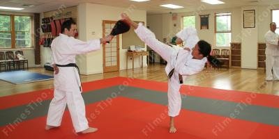 filmes sobre escola de artes marciais