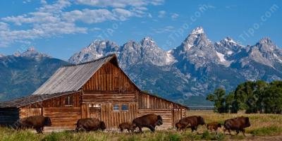 filmes sobre Wyoming