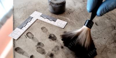 filmes sobre forense
