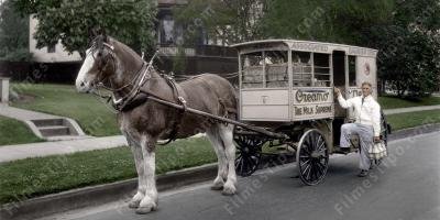 filmes sobre cavalo e carroça