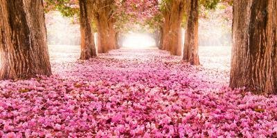 filmes sobre primavera