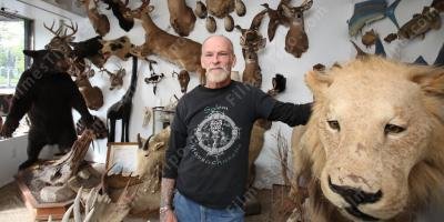 filmes sobre taxidermista