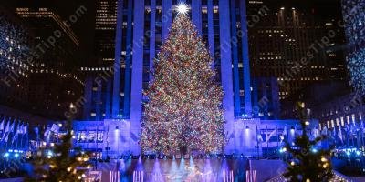 filmes sobre iluminação da árvore de natal
