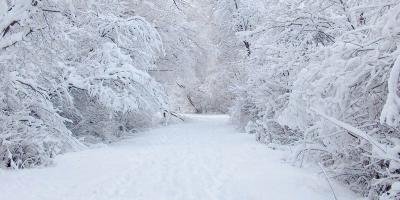 filmes sobre neve