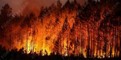 filmes sobre incêndios