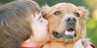 filmes sobre comunicação humana animal