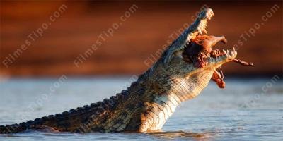 filmes sobre crocodilo assassino