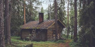 filmes sobre Cabana na Floresta