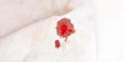 filmes sobre gore