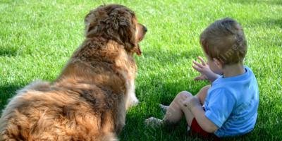 filmes sobre relacionamento menino cachorro