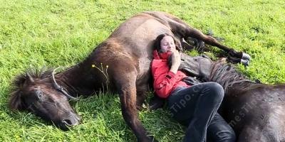 filmes sobre relacionamento garota cavalo
