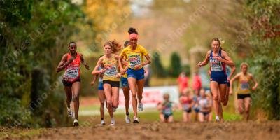 filmes sobre corrida cross country
