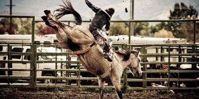 filmes sobre rodeio