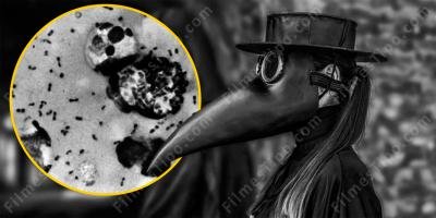 filmes sobre morte negra