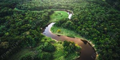 filmes sobre Floresta amazônica