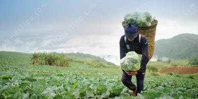 filmes sobre agricultura