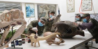 filmes sobre paleontologia