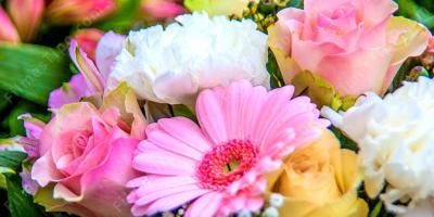 filmes sobre flores