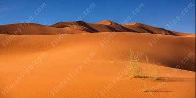 filmes sobre deserto