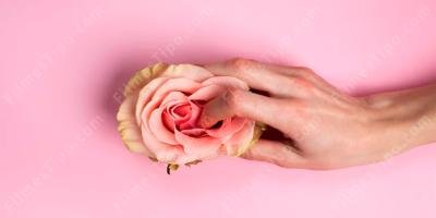 filmes sobre sexologia