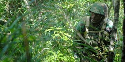 filmes sobre guerra na selva
