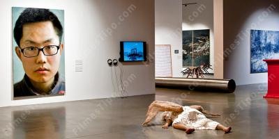 filmes sobre colecionador de arte