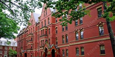 filmes sobre Harvard