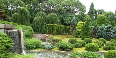filmes sobre jardim