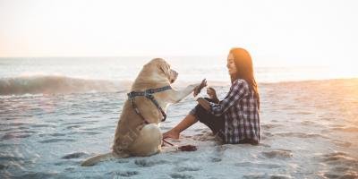 filmes sobre relacionamento menina cachorro