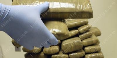 filmes sobre contrabando de drogas